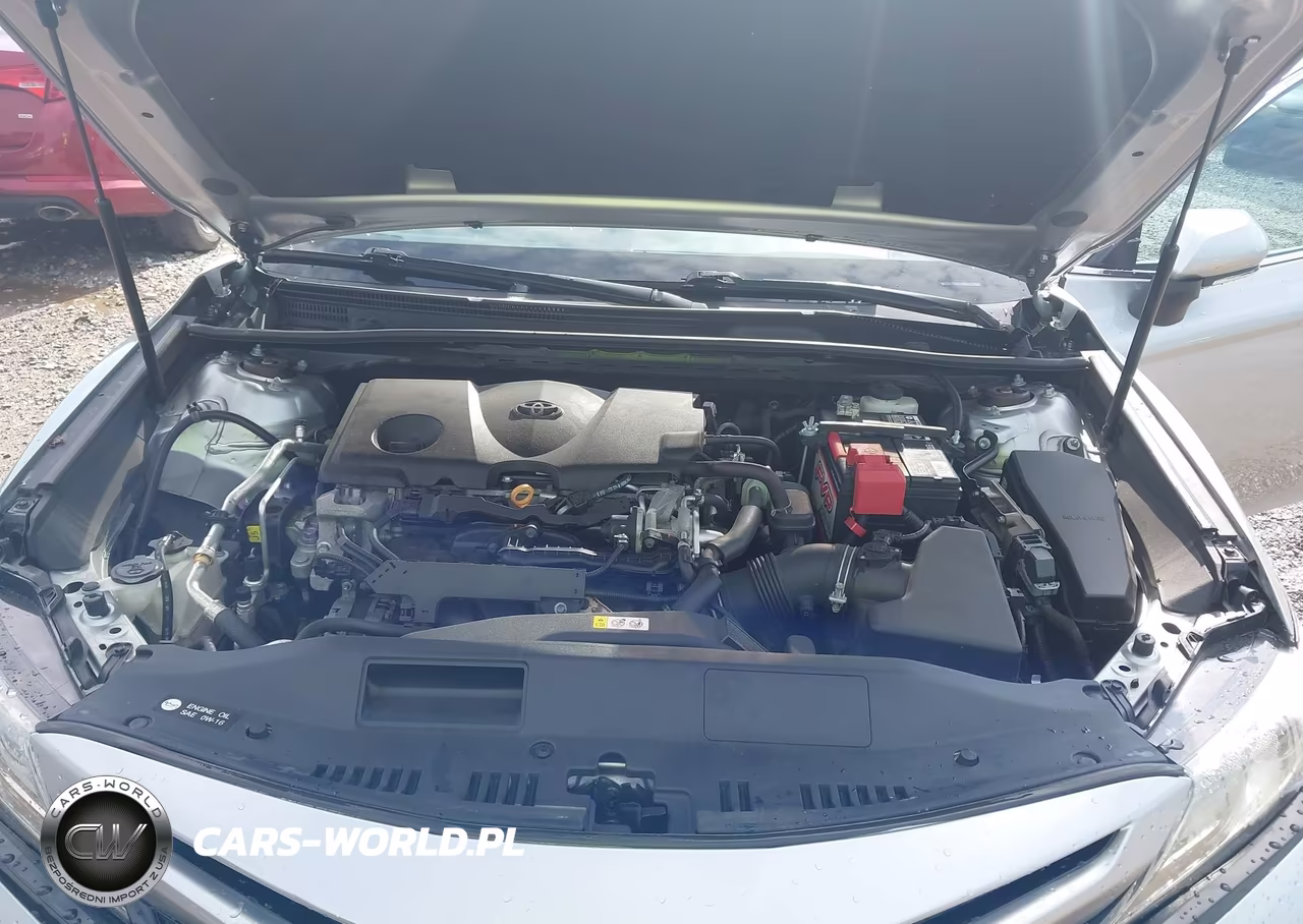 2019 Toyota Camry Xse VIN:4T1B61HK4KU845380 - 10
