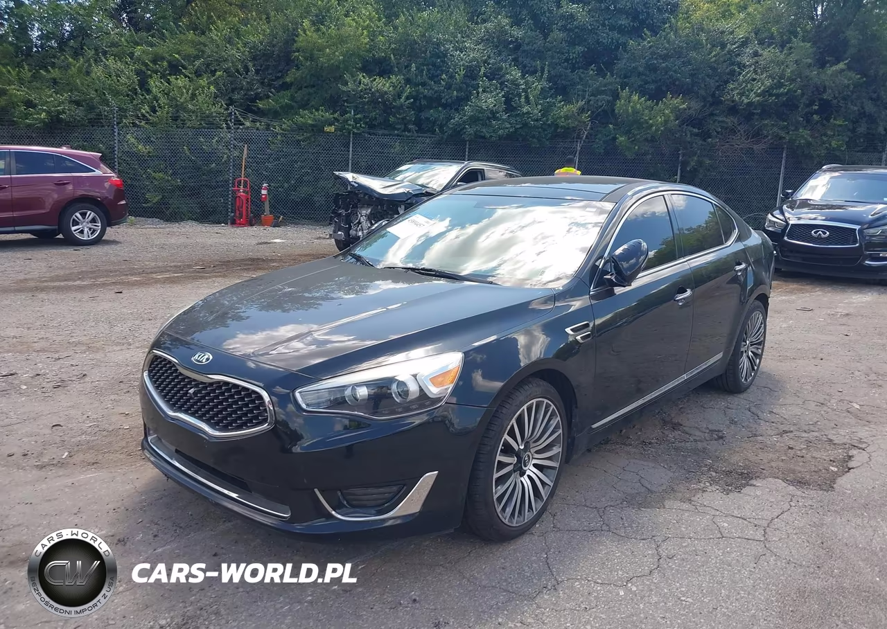 2016 Kia Cadenza Limited VIN:KNALN4D76G5207337 - 2