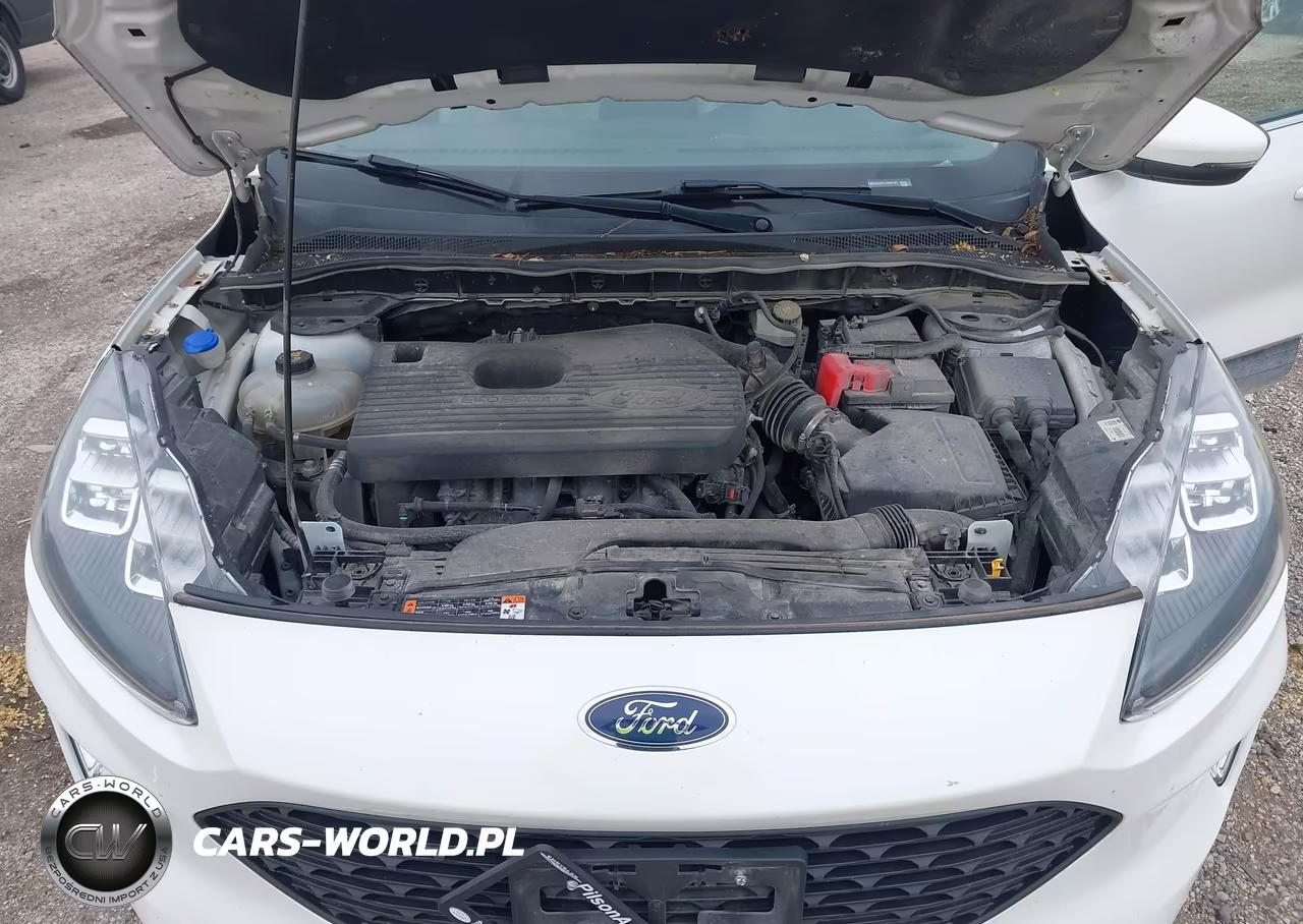 2020 Ford Escape Titanium VIN:1FMCU9J97LUB08191 - 10