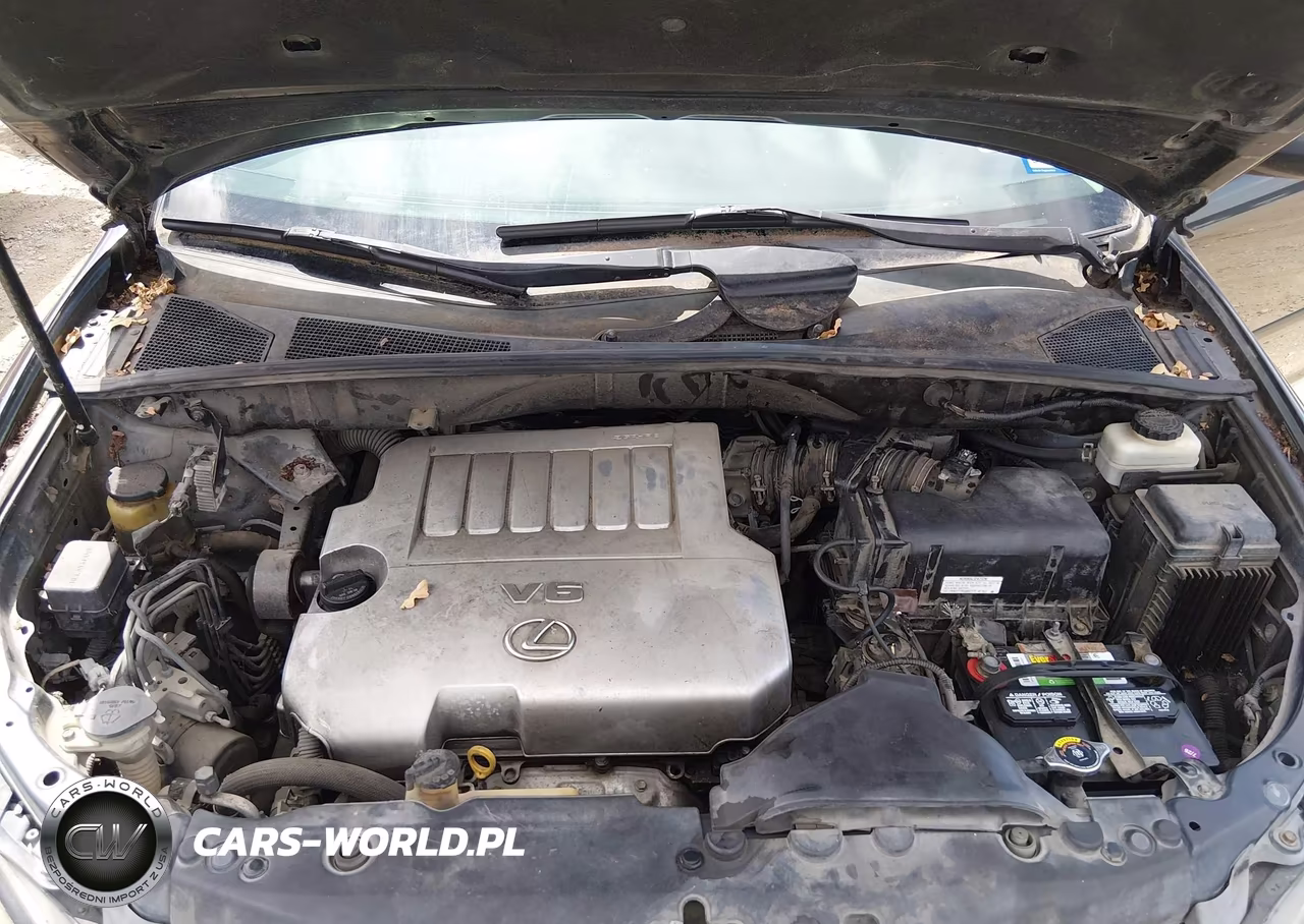 2009 Lexus Rx 350 VIN:2T2GK31U89C077452 - 10