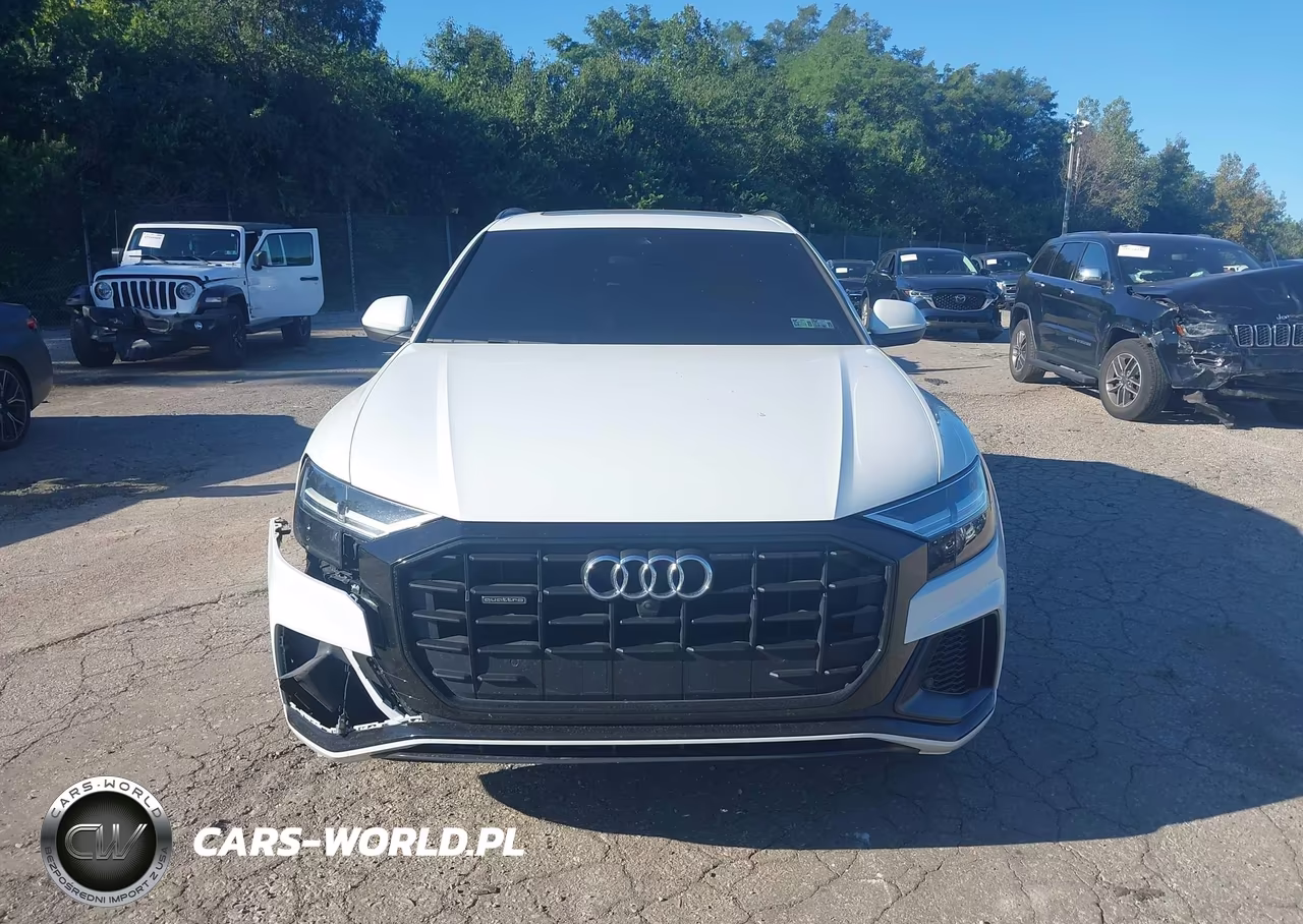 2019 Audi Q8 55 Premium VIN:WA1EVAF17KD025979 - 12