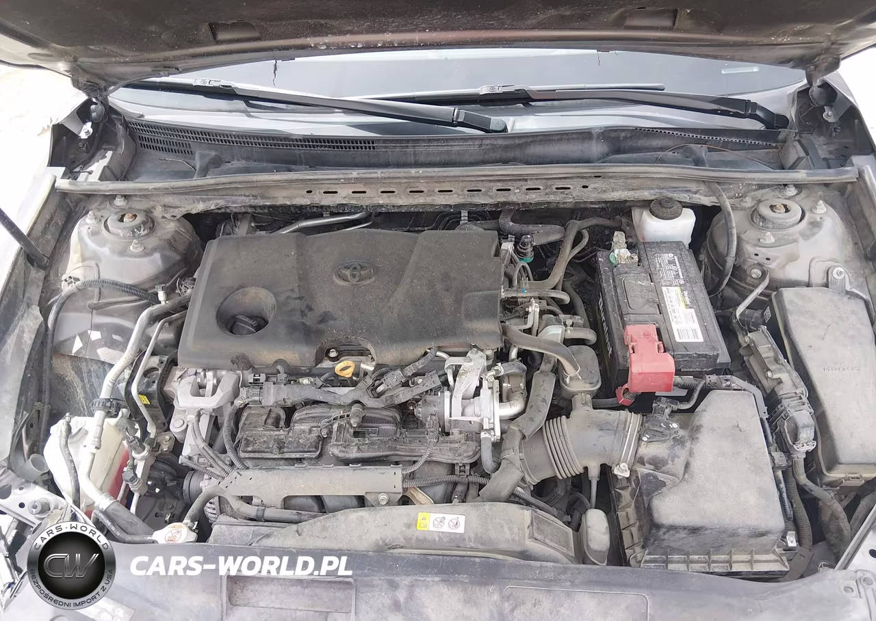 2019 Toyota Camry Se VIN:4T1B11HK0KU787069 - 10