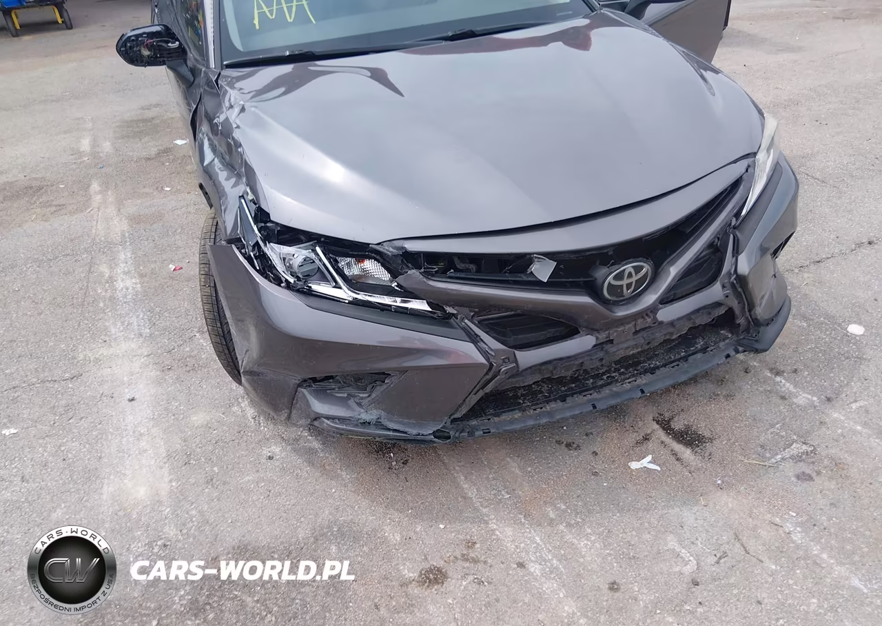2019 Toyota Camry Se VIN:4T1B11HK0KU787069 - 6