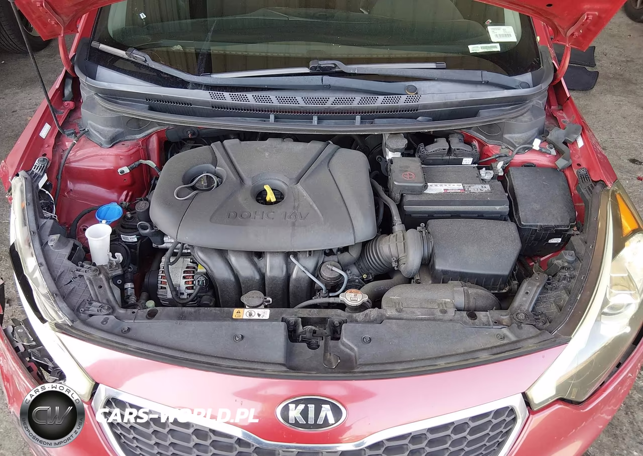2016 Kia Forte Lx VIN:KNAFK4A64G5458469 - 10