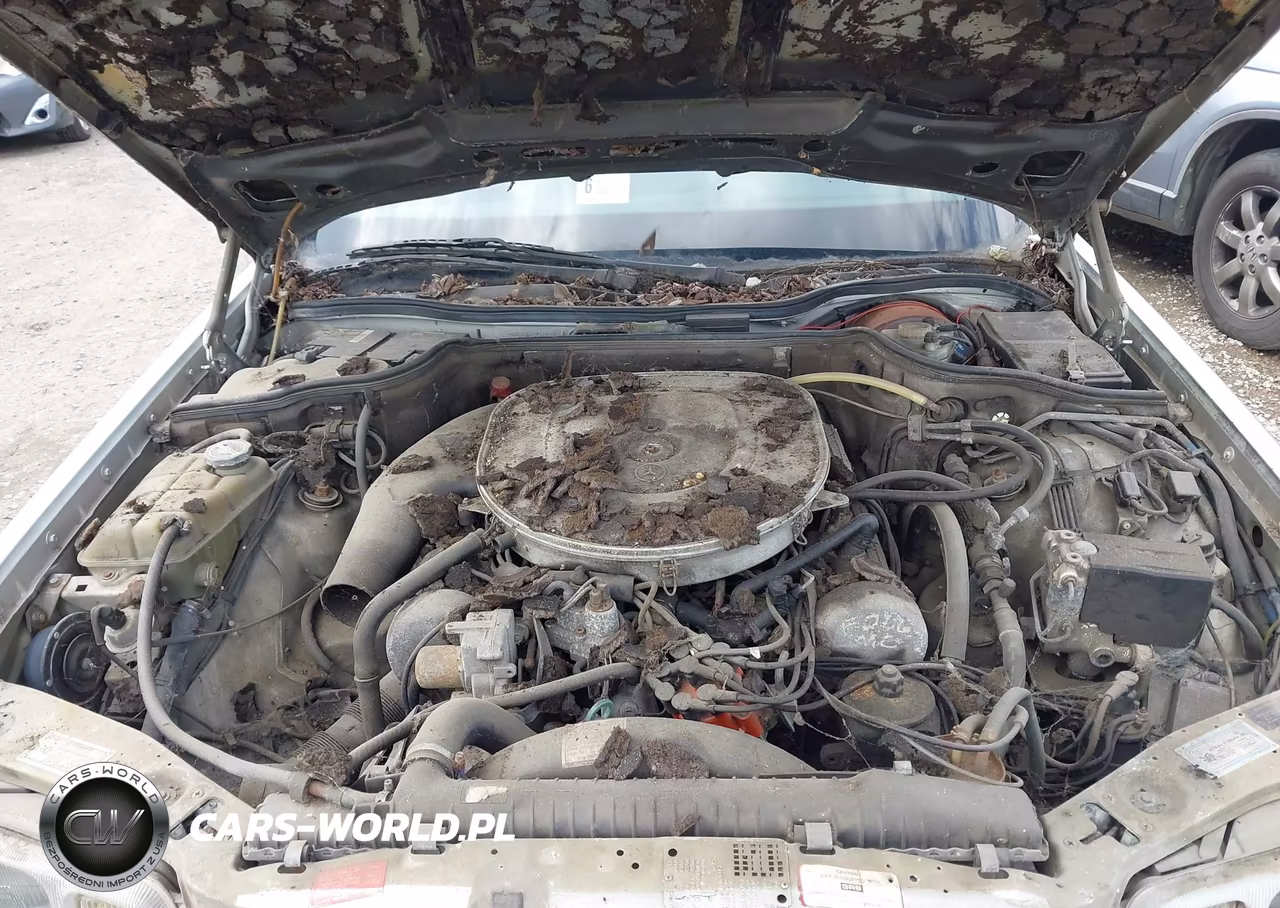1985 Mercedes-Benz 500 Sel VIN:WDBCA37D5FA163037 - 10