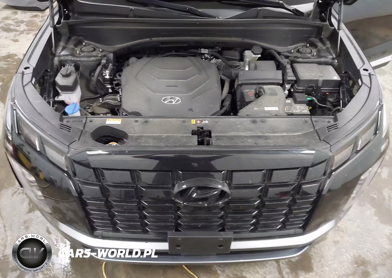 2024 Hyundai Palisade Sel VIN:KM8R4DGE4RU799707 - 10