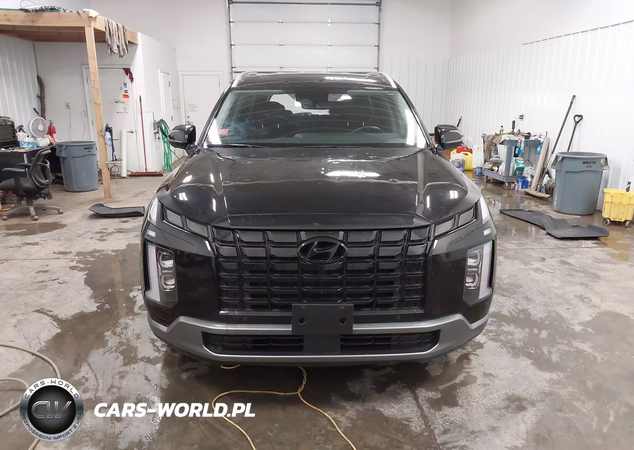 2024 Hyundai Palisade Sel VIN:KM8R4DGE4RU799707 - 12