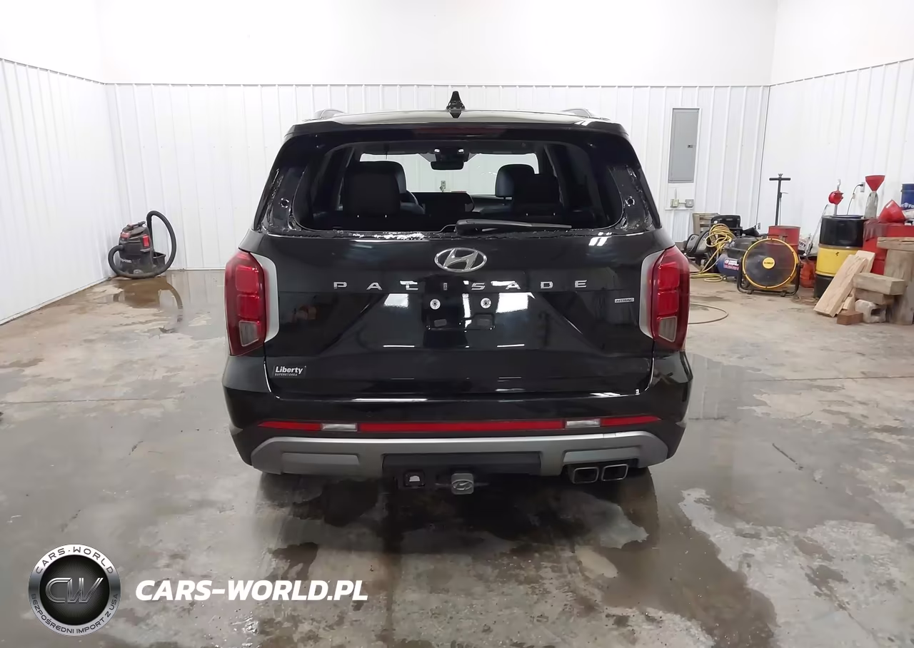 2024 Hyundai Palisade Sel VIN:KM8R4DGE4RU799707 - 16