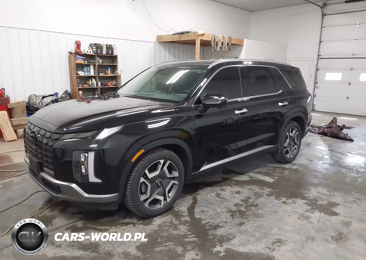 2024 Hyundai Palisade Sel VIN:KM8R4DGE4RU799707 - 2