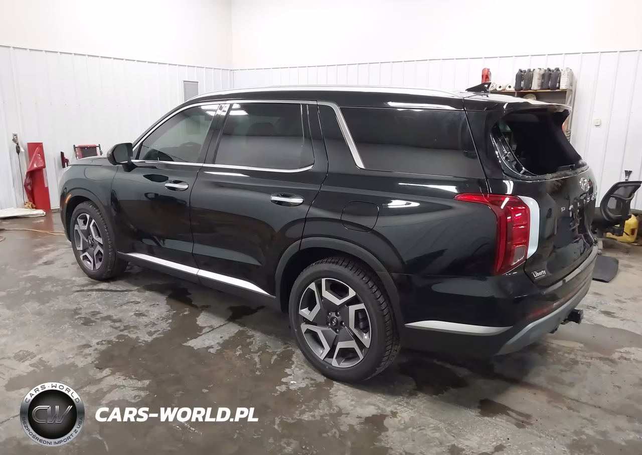 2024 Hyundai Palisade Sel VIN:KM8R4DGE4RU799707 - 3