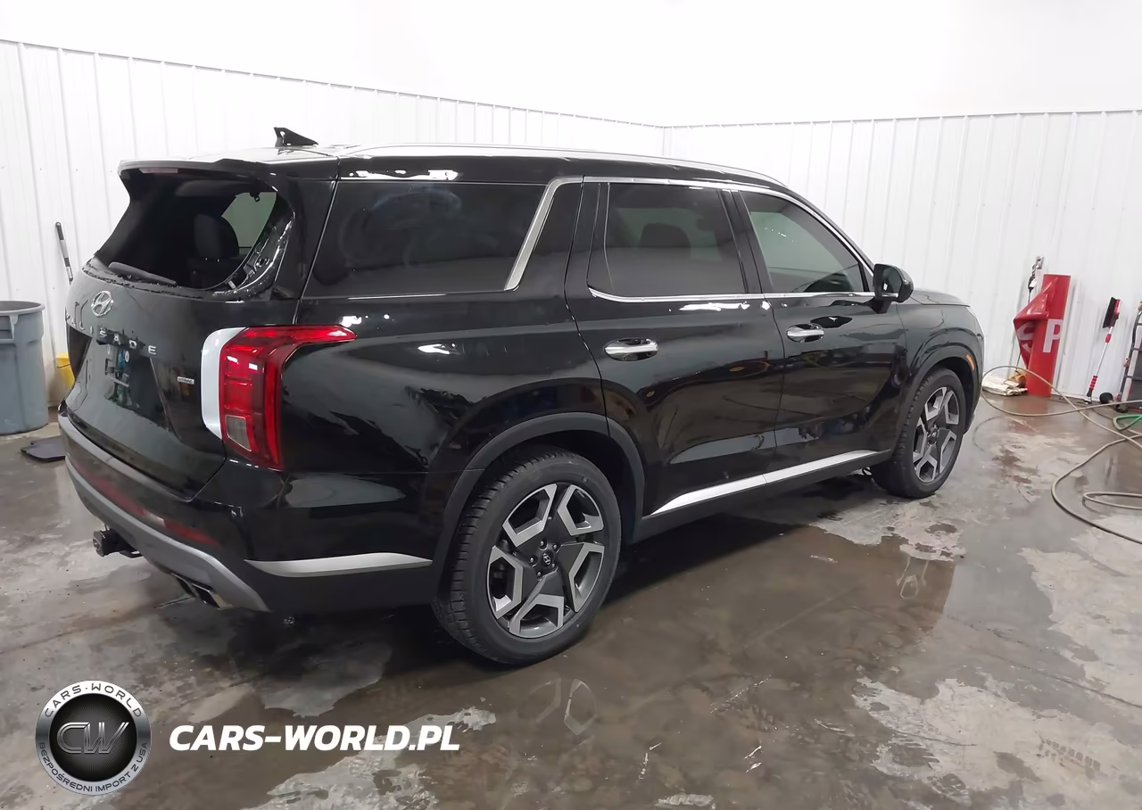 2024 Hyundai Palisade Sel VIN:KM8R4DGE4RU799707 - 4
