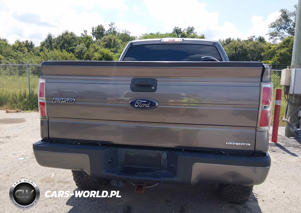 2014 Ford F-150 Stx VIN:1FTFW1EF8EFC85045 - 15
