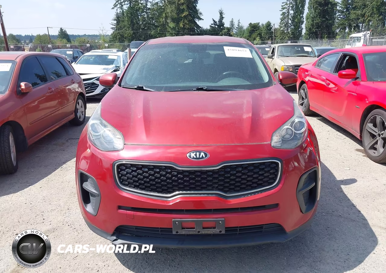 2019 Kia Sportage Lx VIN:KNDPM3ACXK7493810 - 12