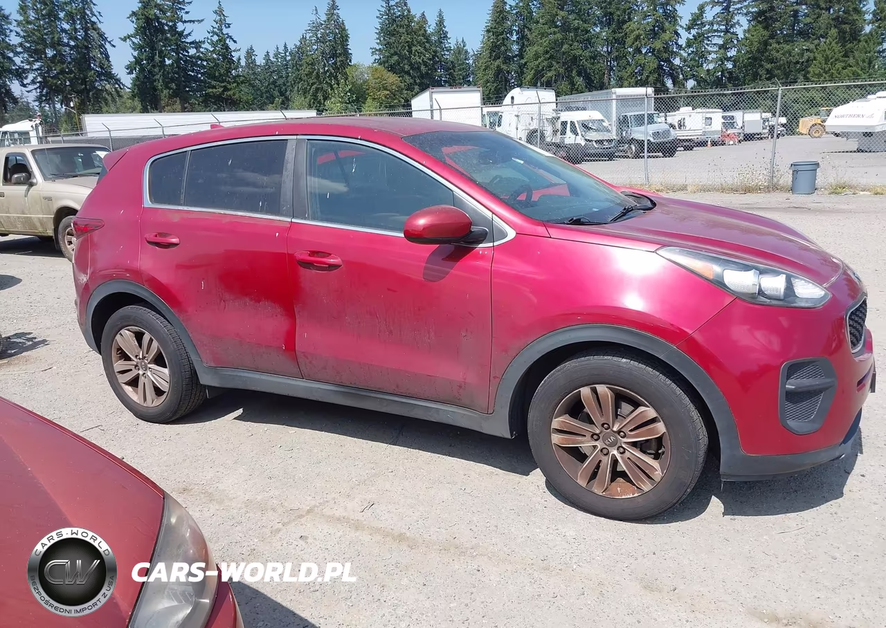 2019 Kia Sportage Lx VIN:KNDPM3ACXK7493810 - 13