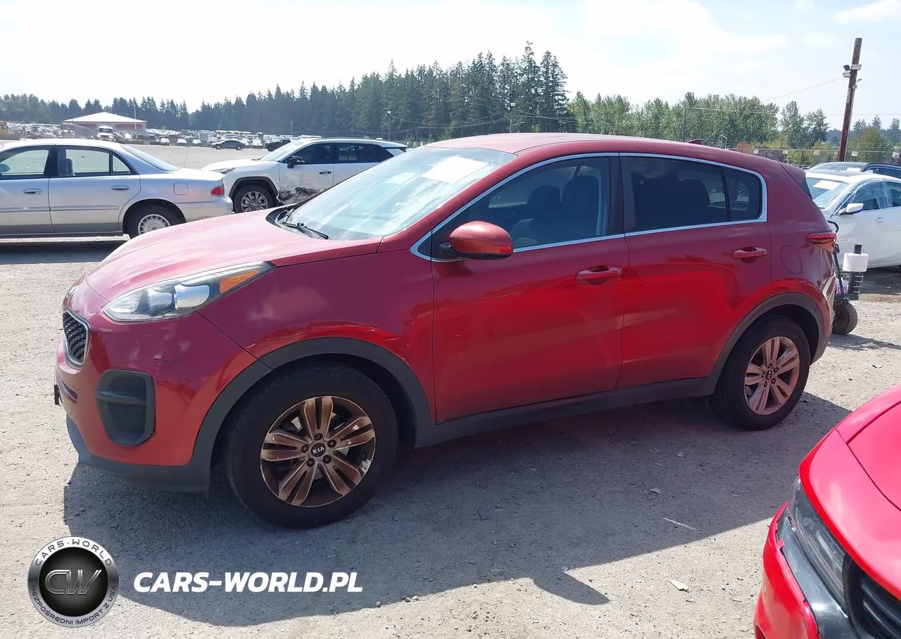2019 Kia Sportage Lx VIN:KNDPM3ACXK7493810 - 14