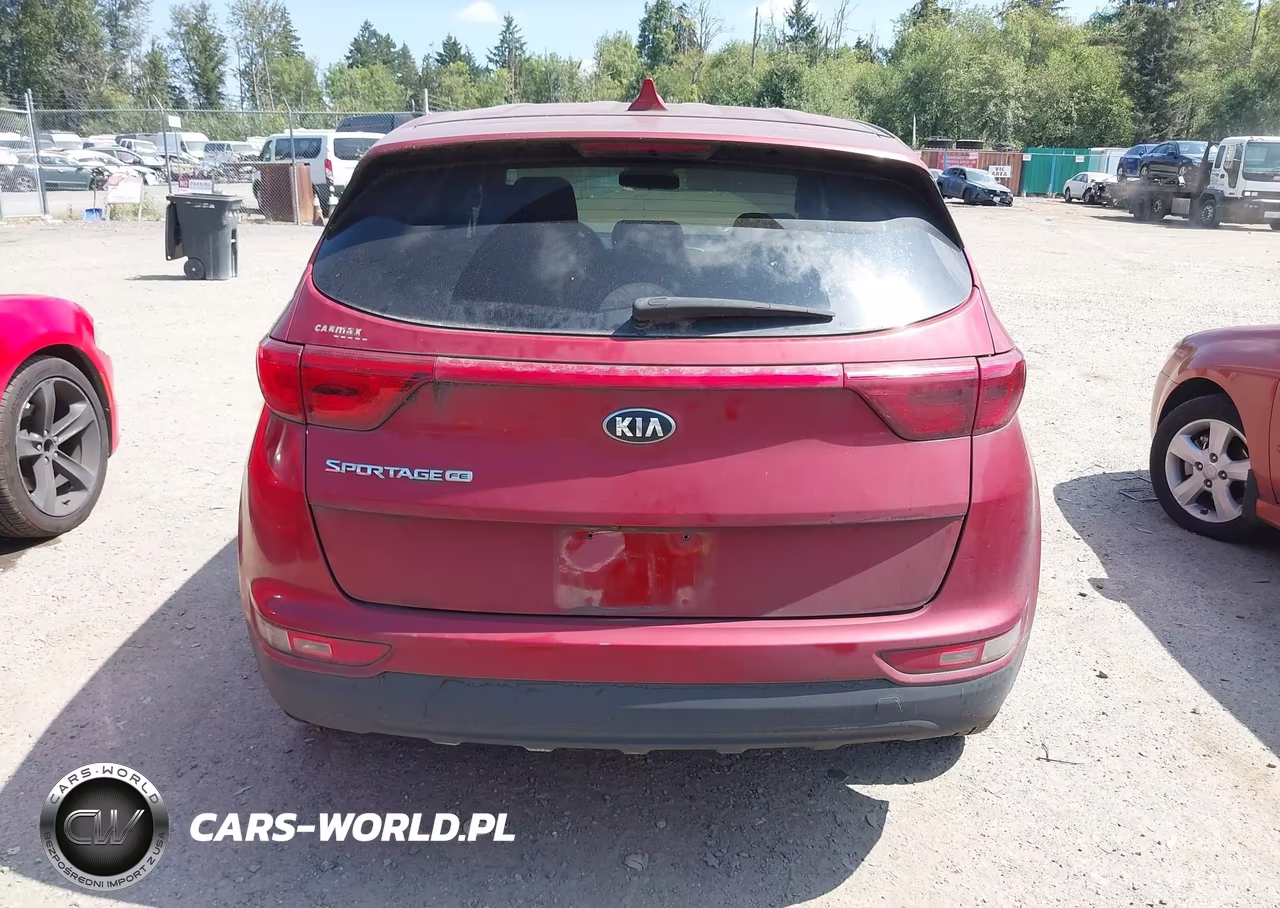 2019 Kia Sportage Lx VIN:KNDPM3ACXK7493810 - 16