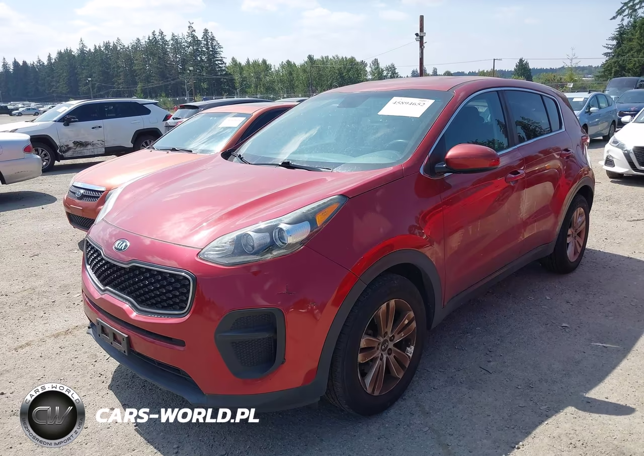 2019 Kia Sportage Lx VIN:KNDPM3ACXK7493810 - 2