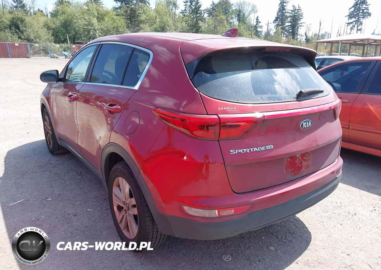 2019 Kia Sportage Lx VIN:KNDPM3ACXK7493810 - 3