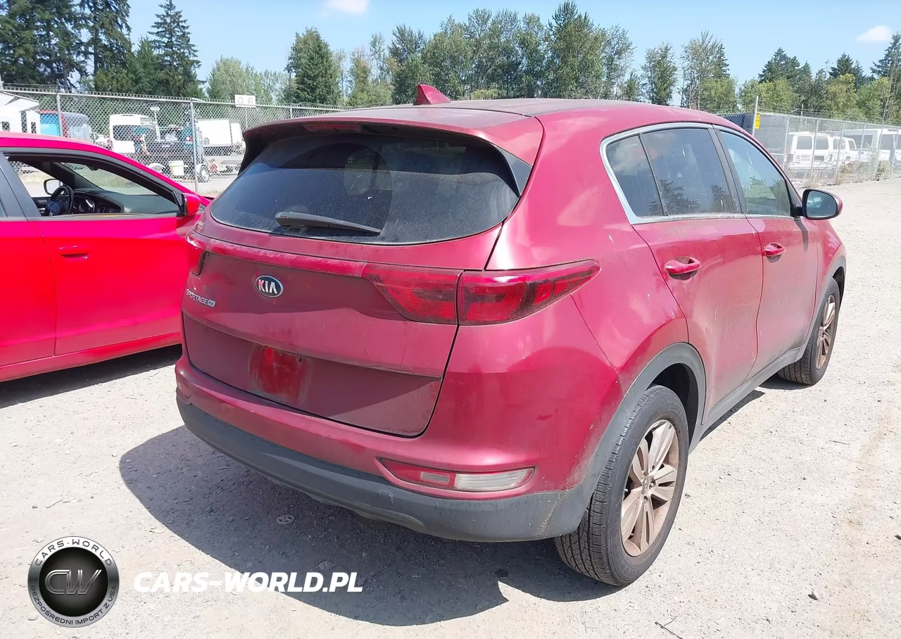 2019 Kia Sportage Lx VIN:KNDPM3ACXK7493810 - 4