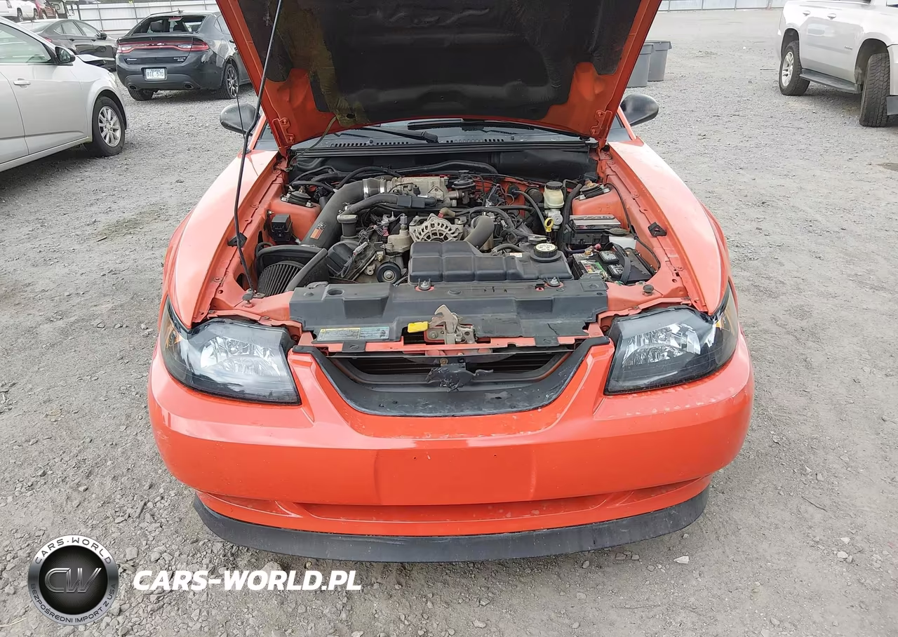 2004 Ford Mustang Gt VIN:1FAFP42X54F121316 - 10