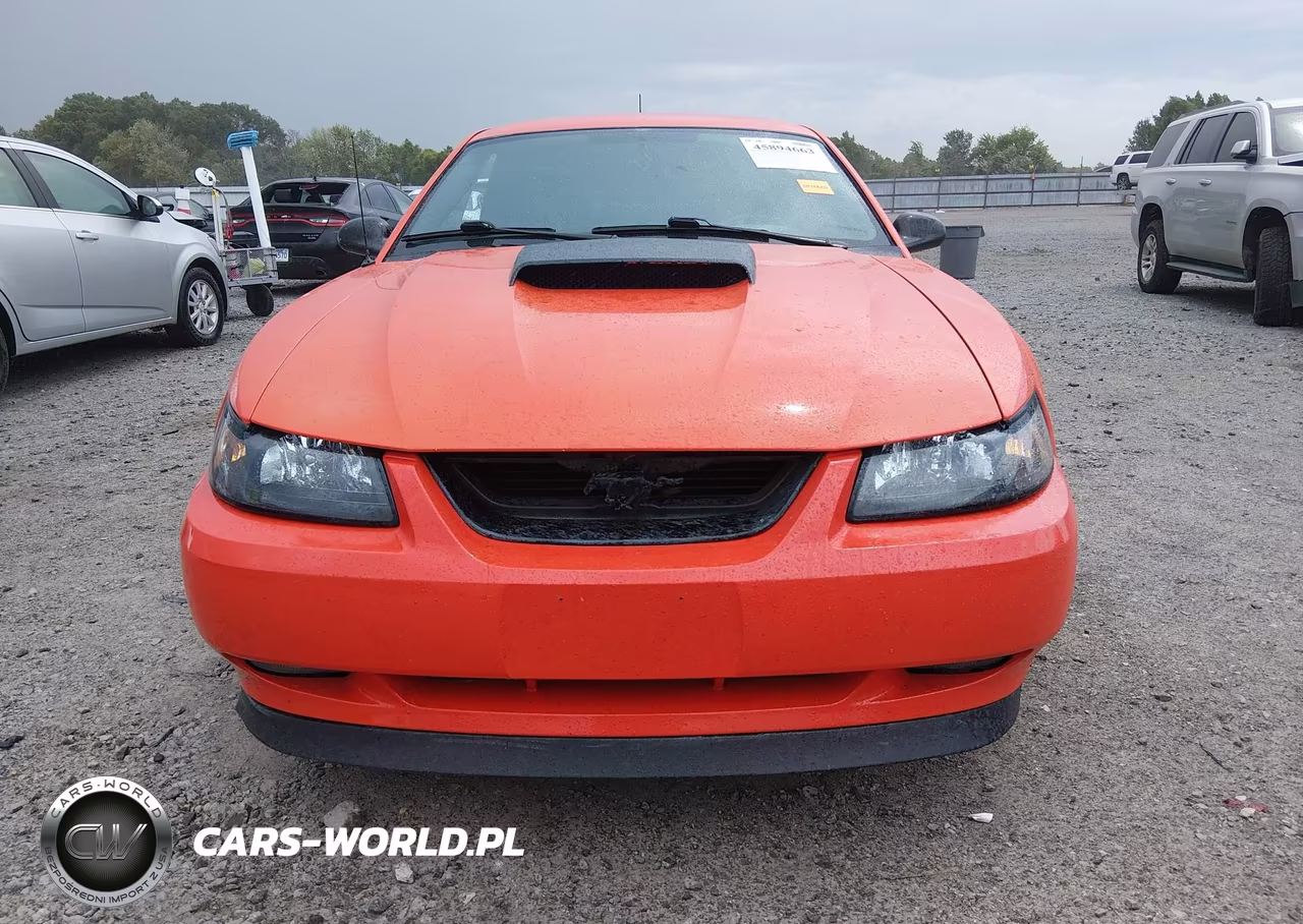 2004 Ford Mustang Gt VIN:1FAFP42X54F121316 - 12