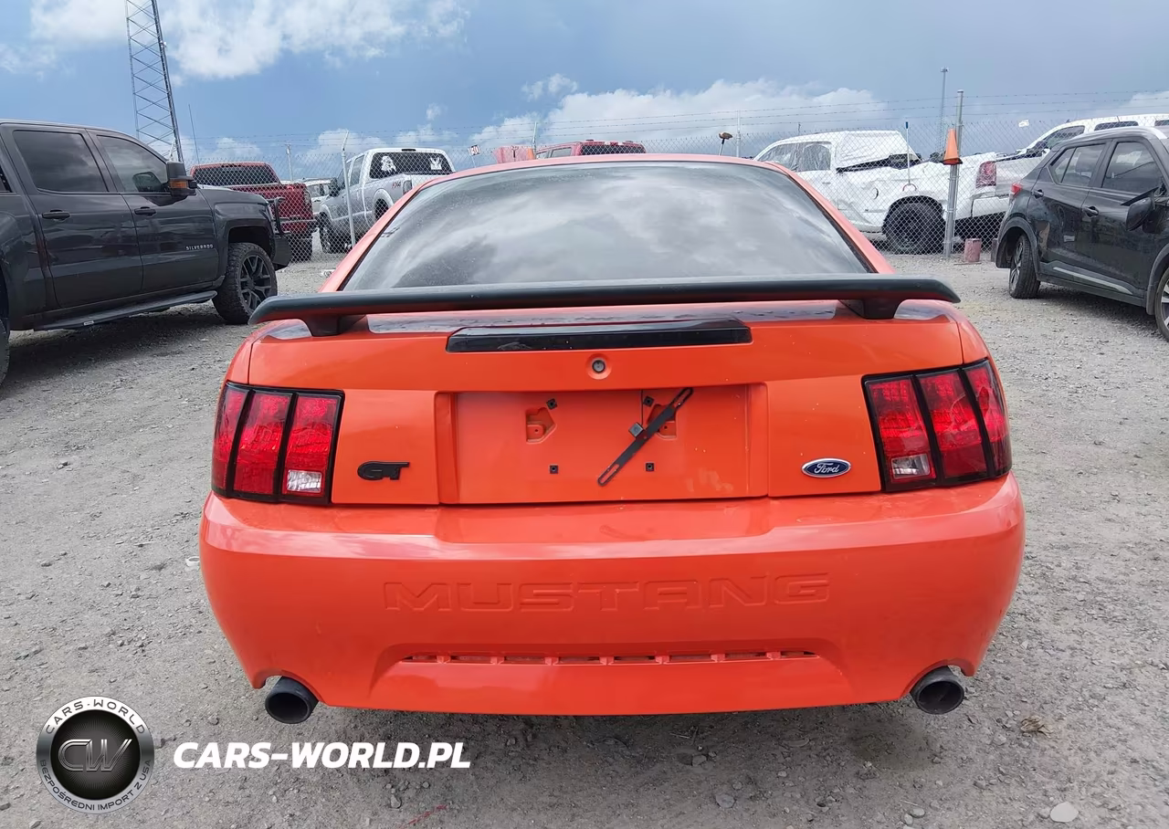 2004 Ford Mustang Gt VIN:1FAFP42X54F121316 - 16