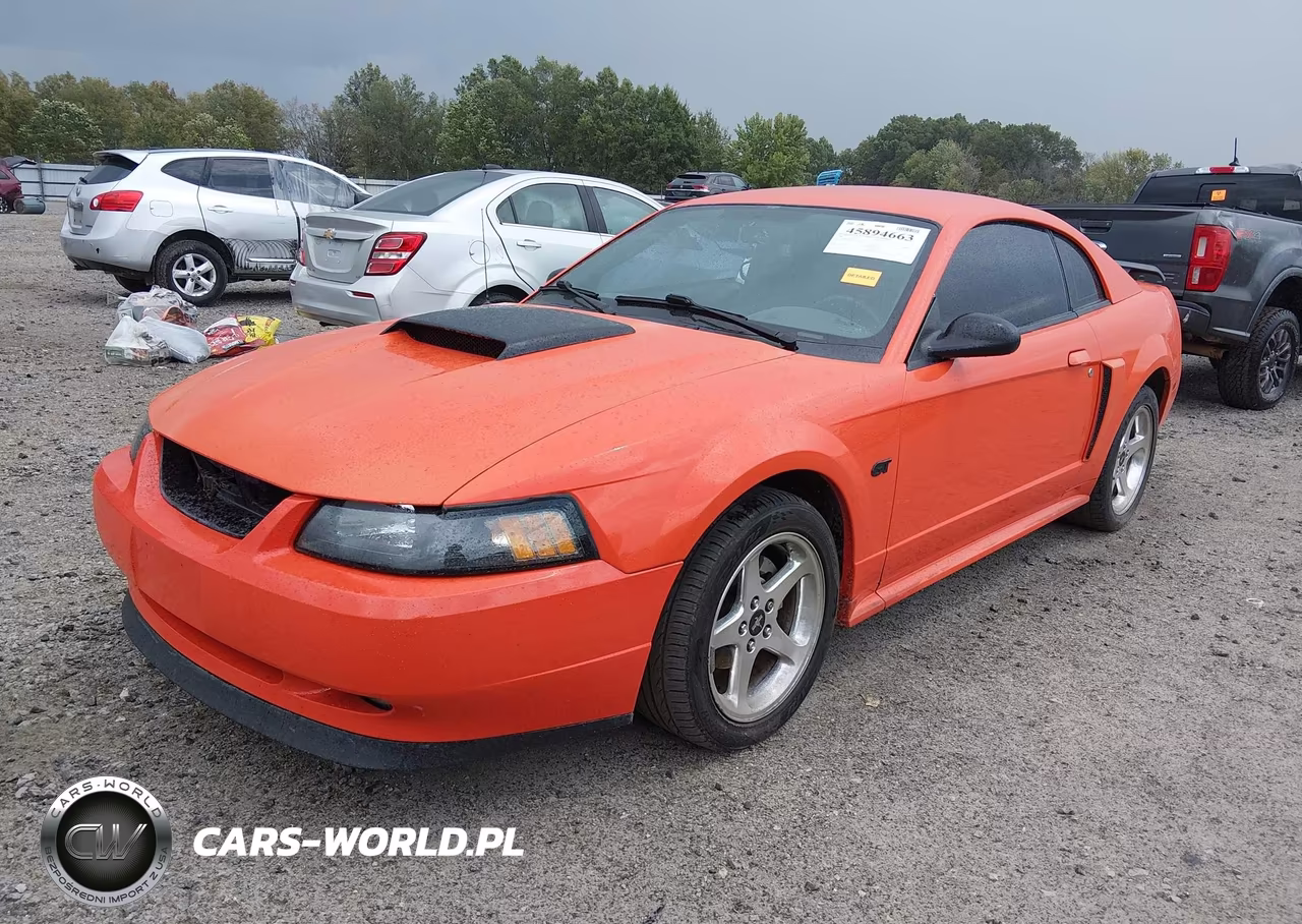 2004 Ford Mustang Gt VIN:1FAFP42X54F121316 - 2