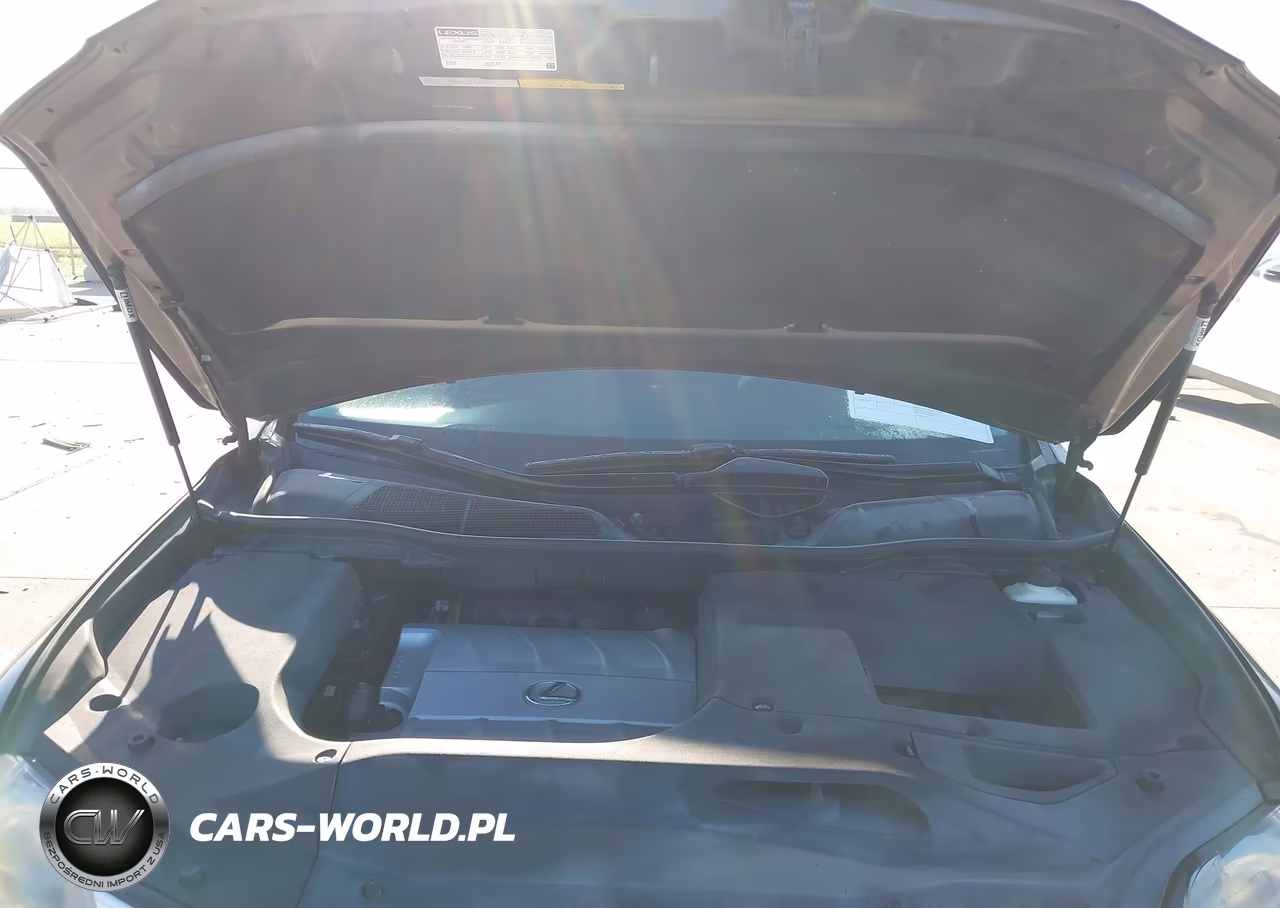 2010 Lexus Rx 350 VIN:2T2BK1BA7AC074095 - 10