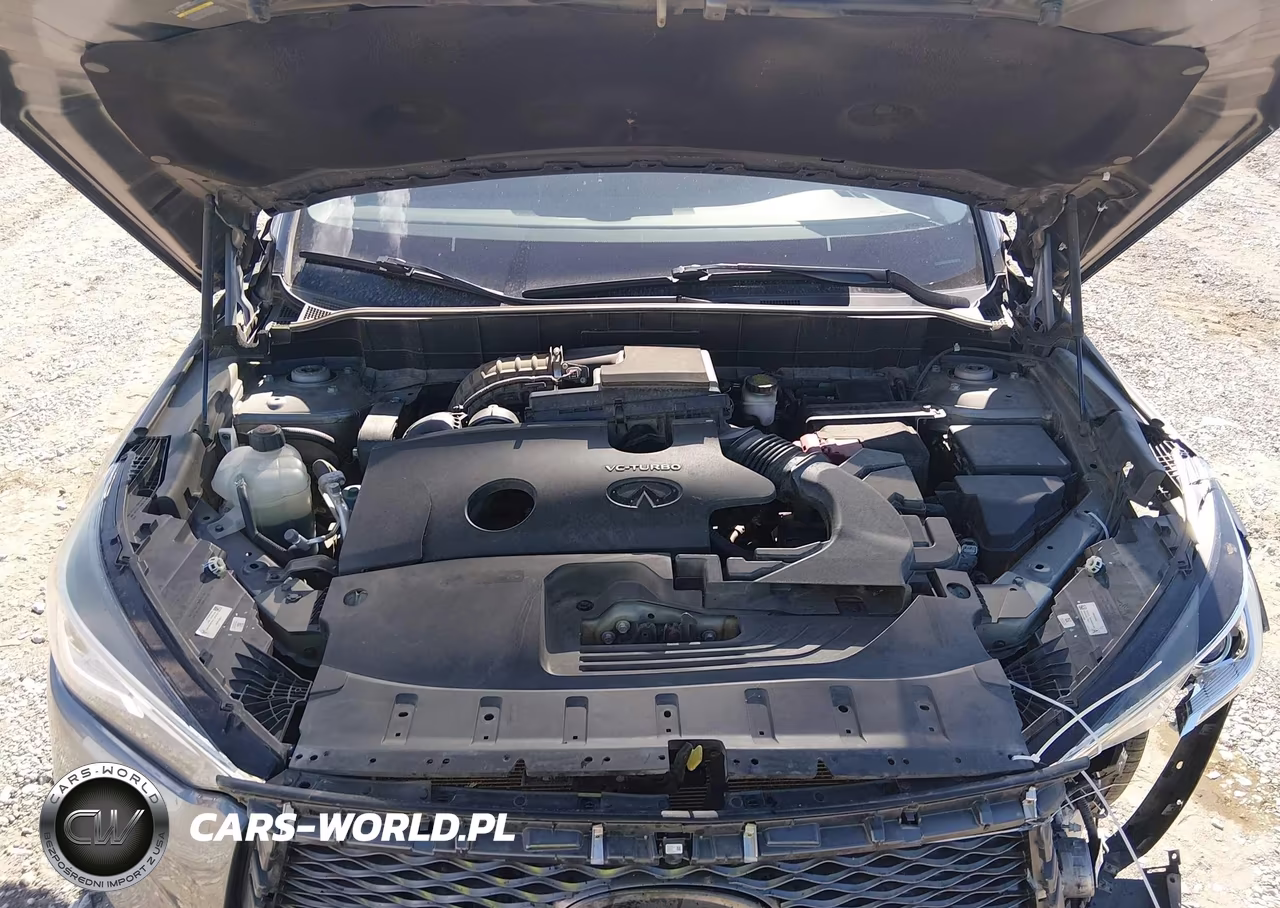 2019 Infiniti Qx50 Essential VIN:3PCAJ5M36KF107383 - 10