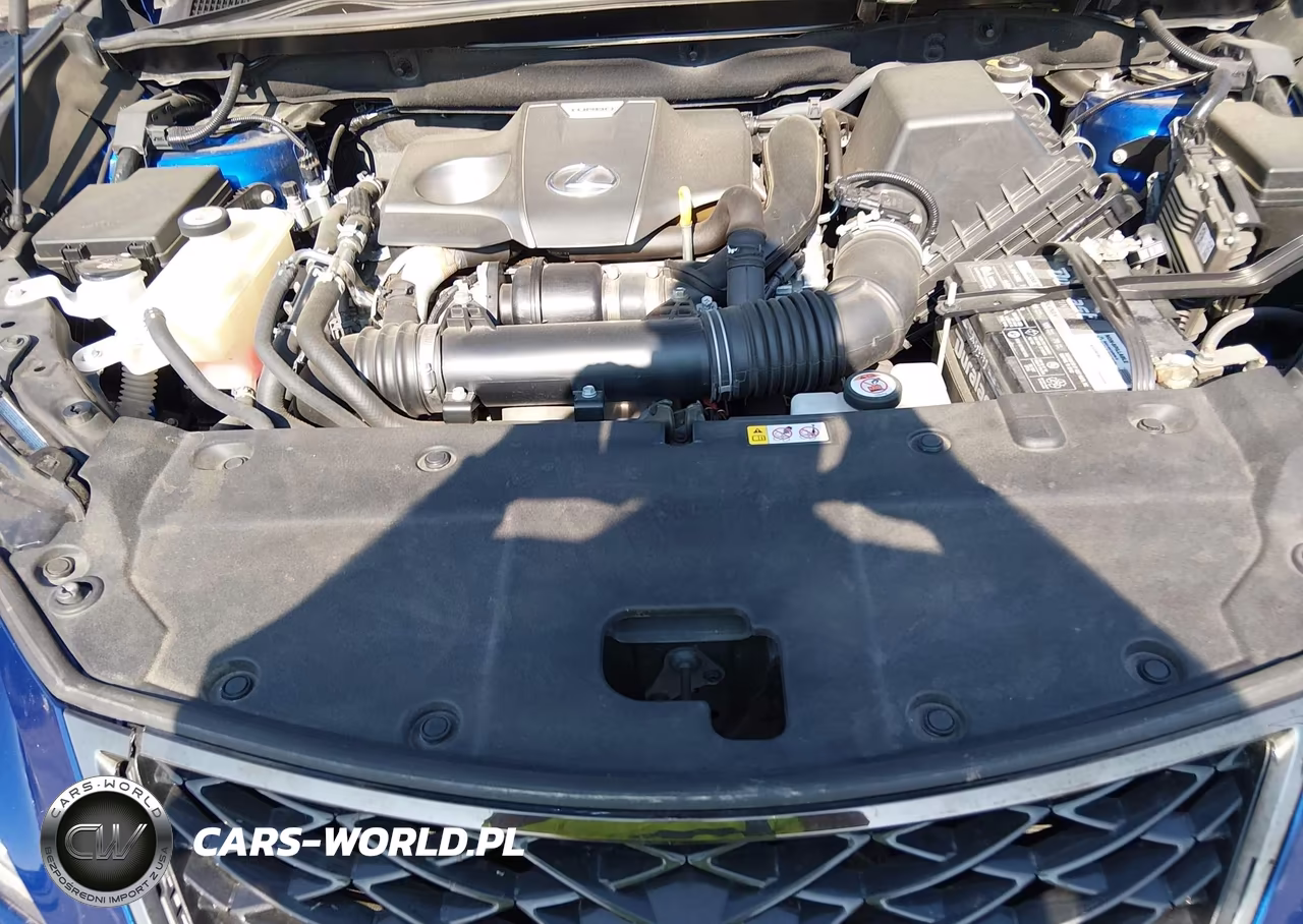 2021 Lexus Nx 300 F Sport VIN:JTJSARBZ6M2191792 - 10