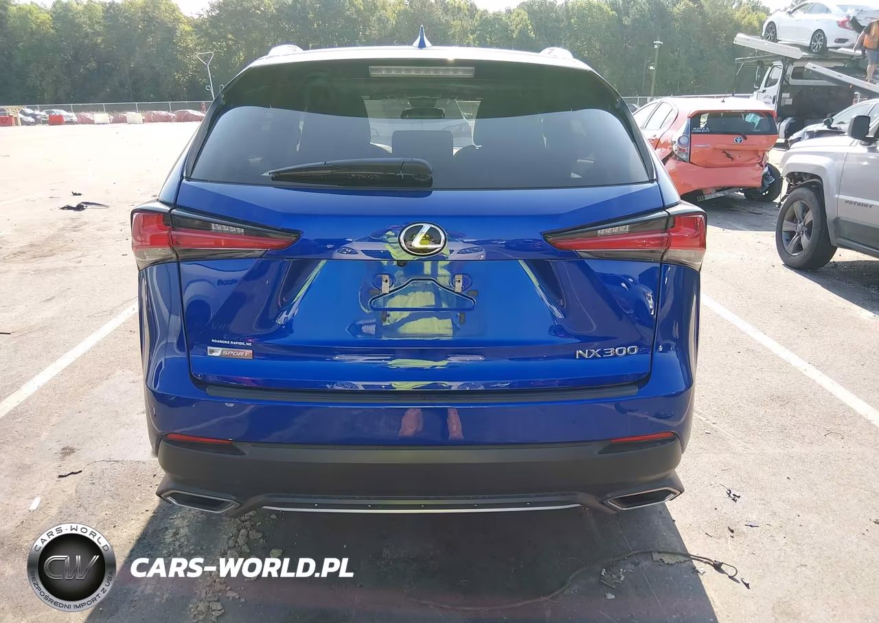 2021 Lexus Nx 300 F Sport VIN:JTJSARBZ6M2191792 - 16