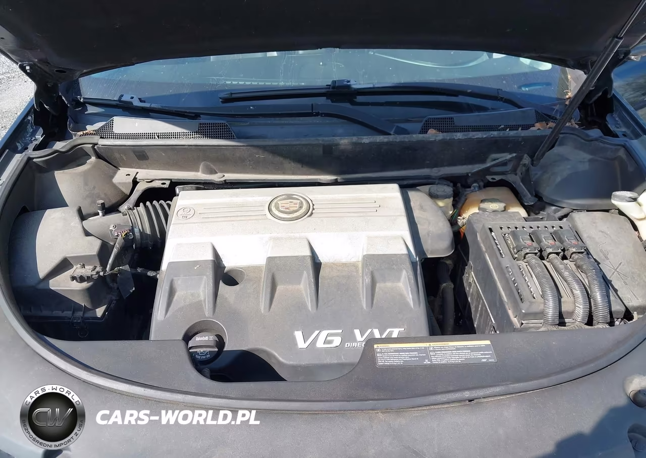2010 Cadillac Srx Luxury Collection VIN:3GYFNDEY5AS634166 - 10