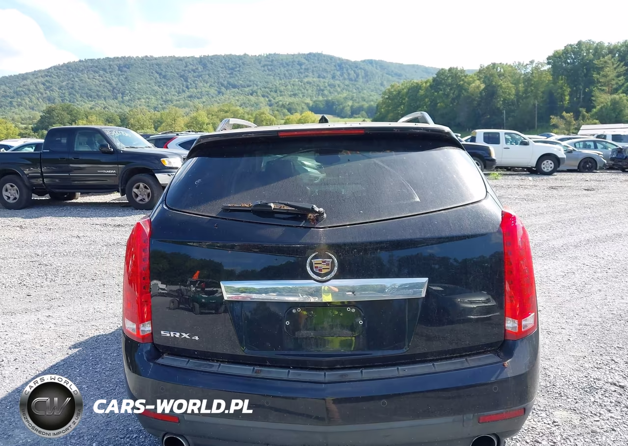 2010 Cadillac Srx Luxury Collection VIN:3GYFNDEY5AS634166 - 17