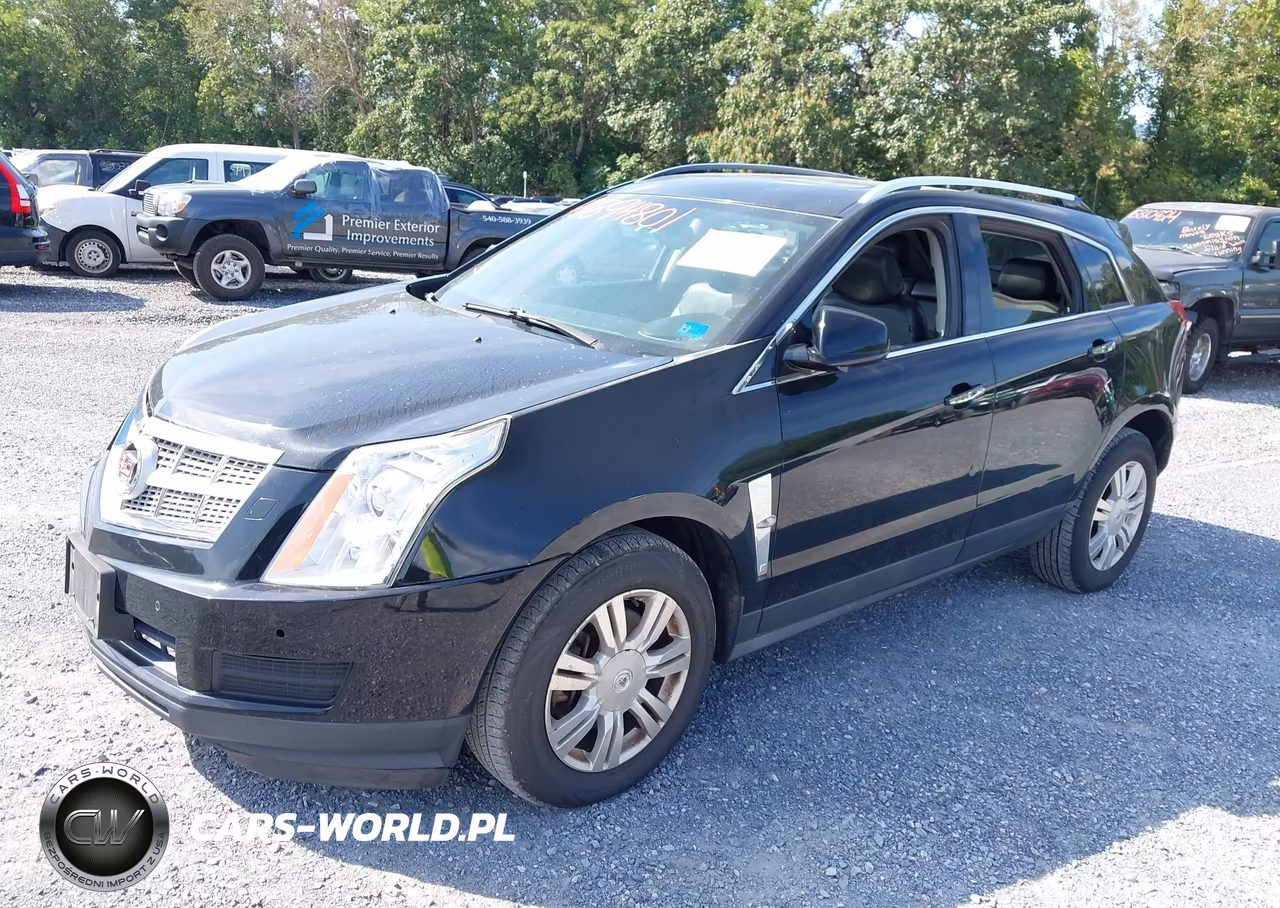 2010 Cadillac Srx Luxury Collection VIN:3GYFNDEY5AS634166 - 2