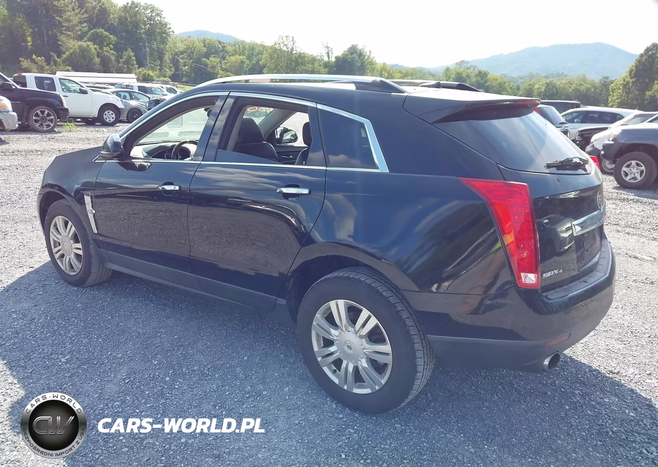 2010 Cadillac Srx Luxury Collection VIN:3GYFNDEY5AS634166 - 3