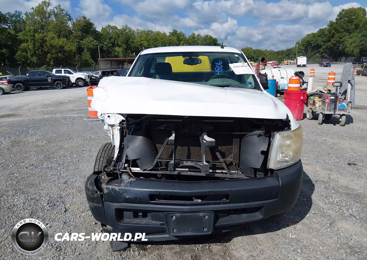 2009 Chevrolet Silverado 1500 Work Truck VIN:1GCEC14X69Z236753 - 12