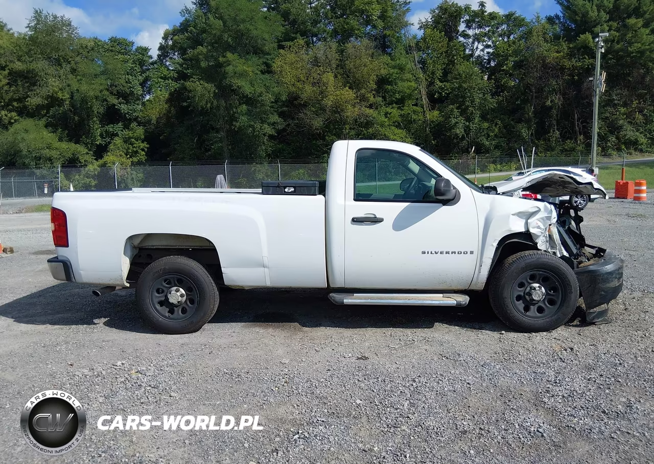 2009 Chevrolet Silverado 1500 Work Truck VIN:1GCEC14X69Z236753 - 13