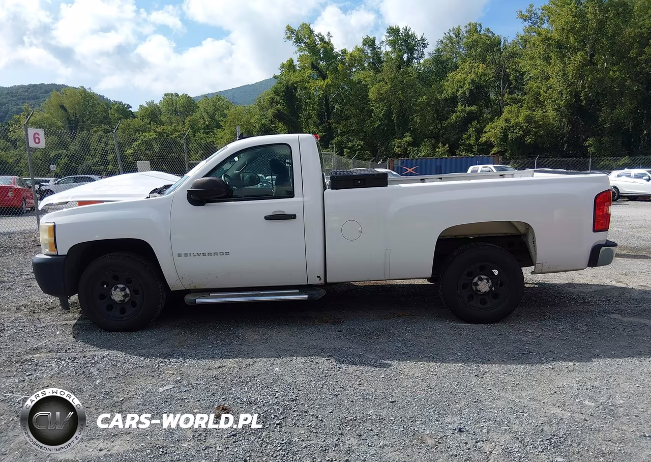 2009 Chevrolet Silverado 1500 Work Truck VIN:1GCEC14X69Z236753 - 14