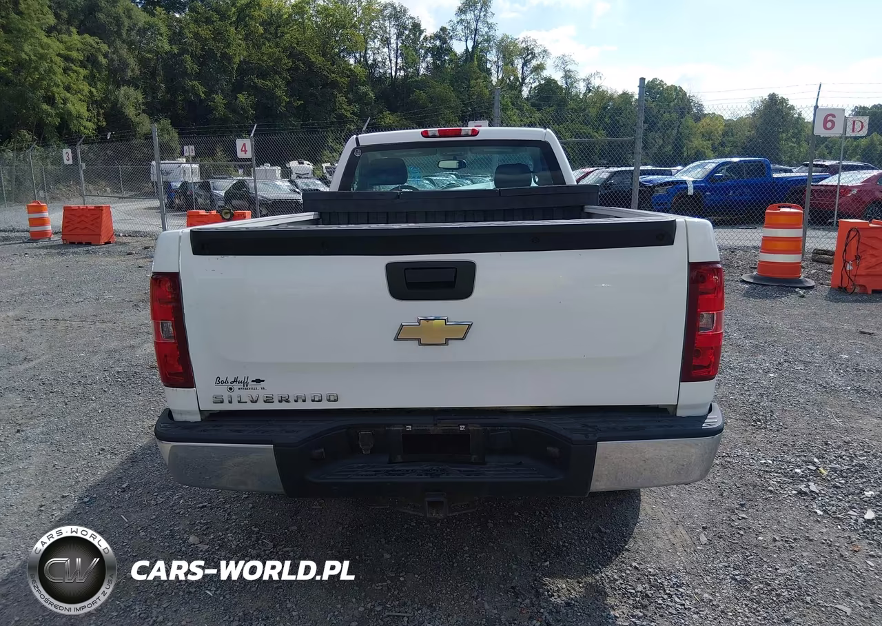 2009 Chevrolet Silverado 1500 Work Truck VIN:1GCEC14X69Z236753 - 16