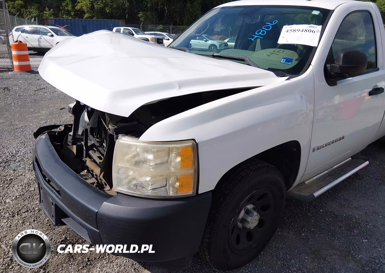 2009 Chevrolet Silverado 1500 Work Truck VIN:1GCEC14X69Z236753 - 19