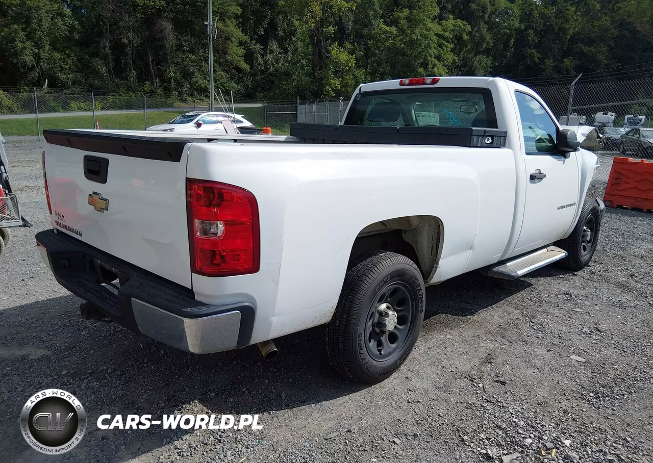 2009 Chevrolet Silverado 1500 Work Truck VIN:1GCEC14X69Z236753 - 4