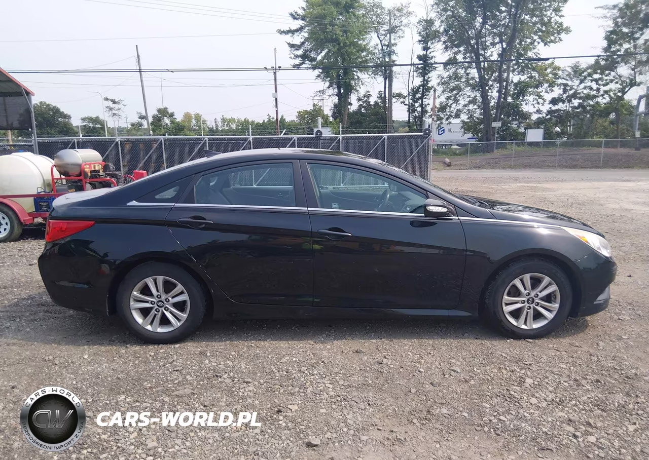 2014 Hyundai Sonata Gls VIN:5NPEB4AC9EH919702 - 13