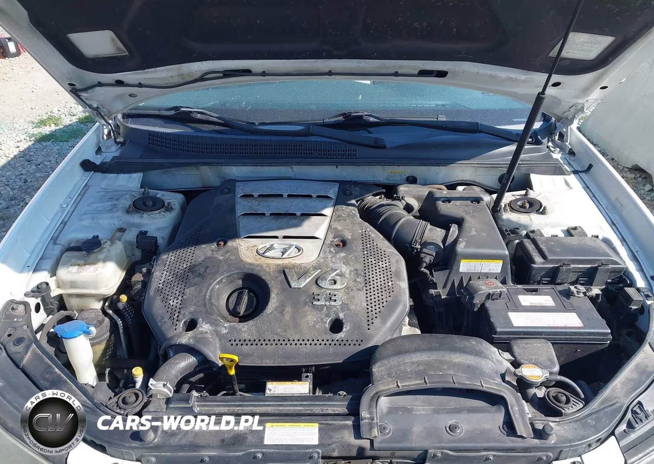 2007 Hyundai Sonata Limited-Limited W-Xm-Se-Se W-Xm VIN:5NPEU46F77H272264 - 10