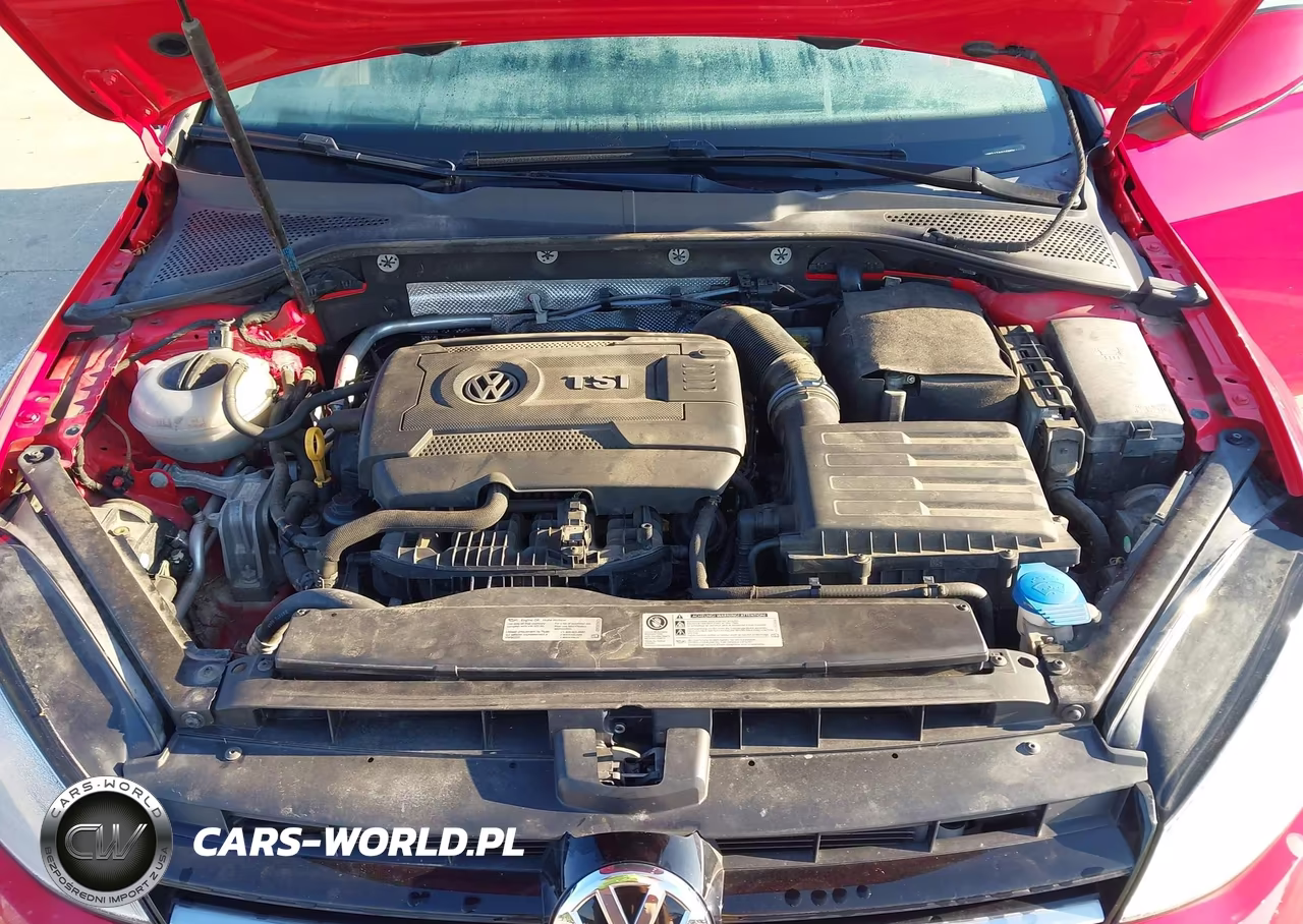2016 Volkswagen Golf Tsi S 4-Door VIN:3VW217AU1GM065203 - 10