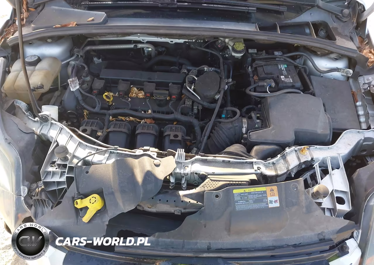2013 Ford Focus Titanium VIN:1FADP3N22DL156351 - 10