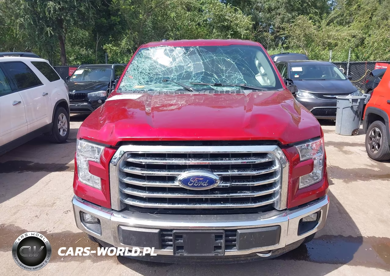 2015 Ford F-150 Xlt VIN:1FTEX1E88FKE73597 - 12