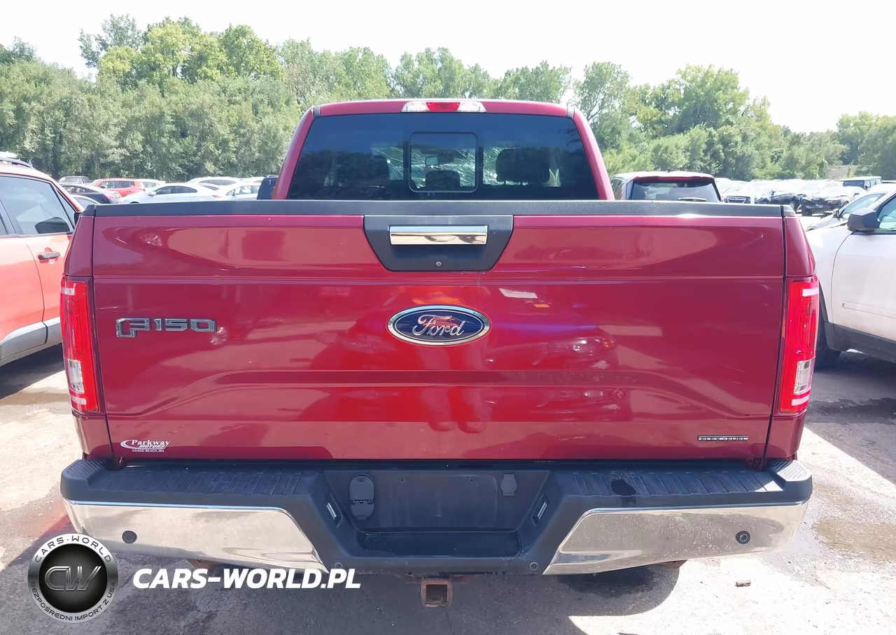 2015 Ford F-150 Xlt VIN:1FTEX1E88FKE73597 - 16