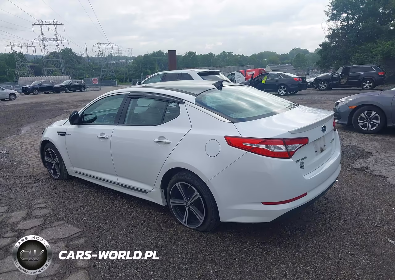 2013 Kia Optima Hybrid Ex VIN:KNAGM4AD5D5039460 - 3