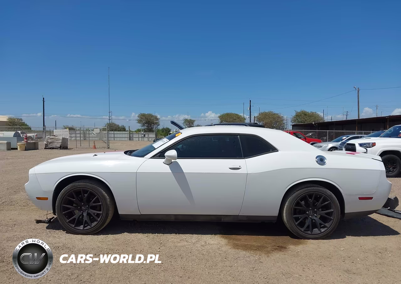 2013 Dodge Challenger Rallye Redline VIN:2C3CDYAG4DH700122 - 15