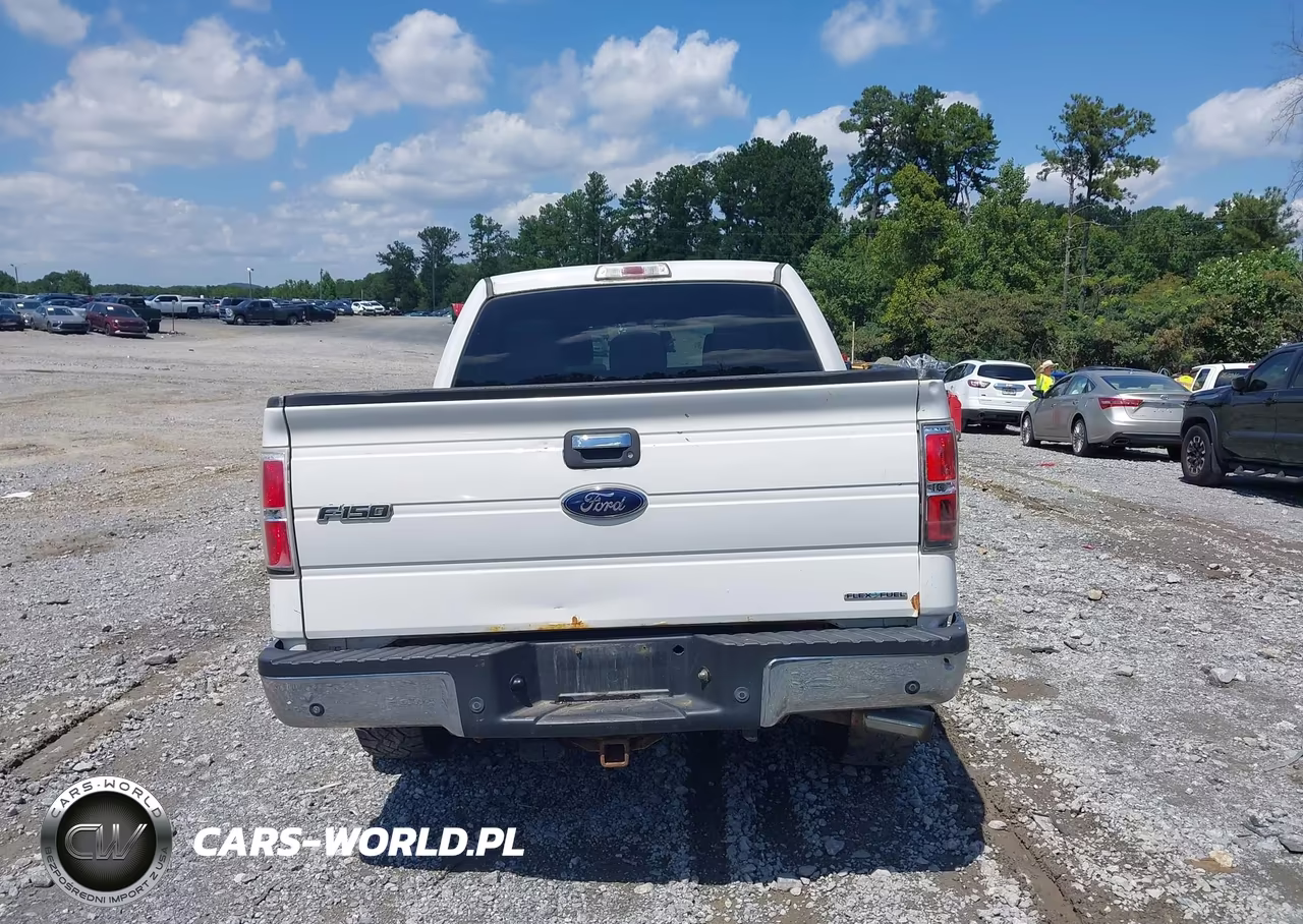 2012 Ford F-150 Xlt VIN:1FTFW1EF4CFC13692 - 16